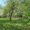 Земельный участок- 93 СОТКИ и дом на опушке леса возле пруда и  - Изображение #3, Объявление #43160