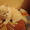 Шотландские плюшевые котята #215436