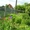 Две усадьбы в Железницких выселках, Рыбновского р-на от собственника - Изображение #3, Объявление #1539370