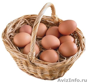 Продаю домашние куриные яйца - недорого - Изображение #1, Объявление #287841